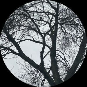 Meet your Posher, Robyn